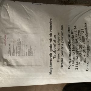 Astra galamb fiatal 25kg